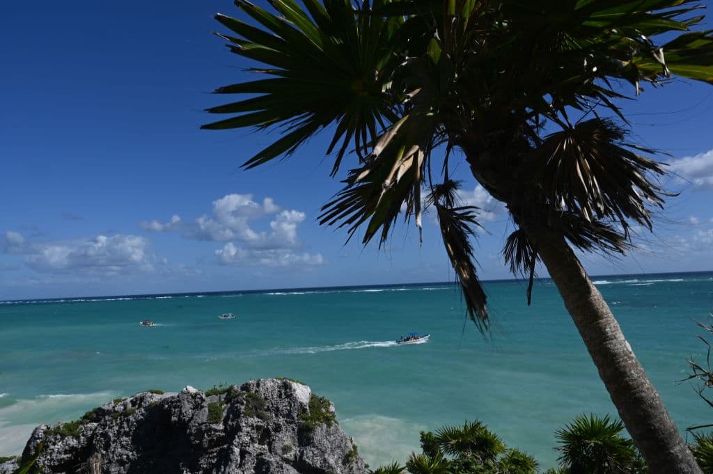 Spring Break en México: muere una turista estadounidense al caer de un cuarto piso de un hotel en Cancún