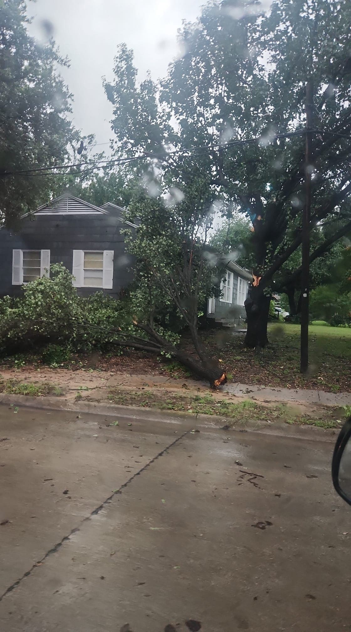 En puntos de Texas, además, se vive una 
<b>ola de calor sofocante</b>, que ha disparado la temperatura hasta los tres dígitos.
