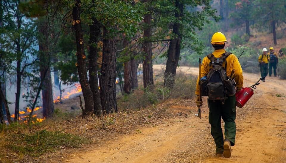 El 
<a href="https://inciweb.nwcg.gov/incident/7067/" target="_blank">Bosque Nacional Plumas</a> fue afectado por el incendio Sheep que consumió 29,570 acres y que ya fue controlado en un 100%.