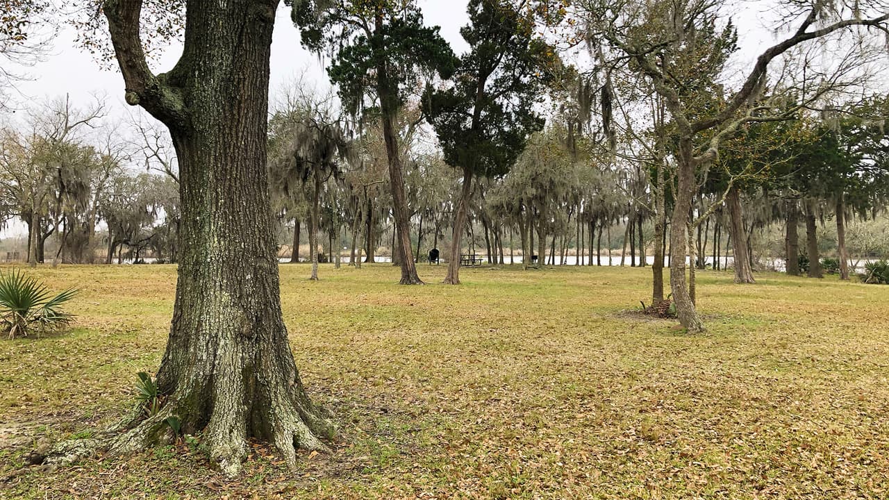 Su inmesidad hace que sea perfecto para visitarlo en familia y disfrutar de un día diferente.