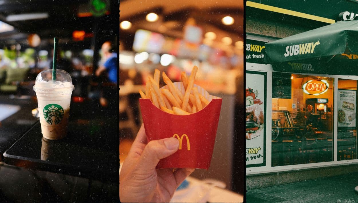Papas fritas, hamburguesas, sándwiches y hasta un mono protagonizan algunos de los casos legales más curiosos en Estados Unidos