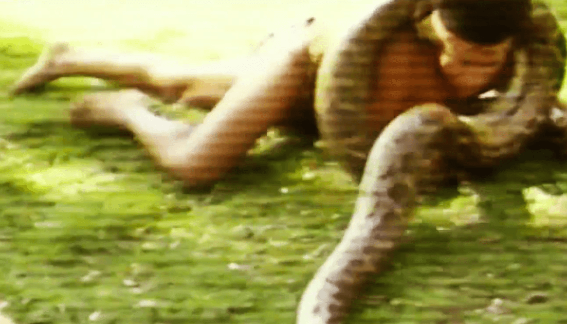 Lupe es el verdadero hombre de la selva.