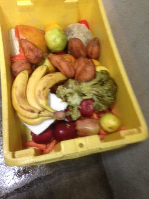 “Así es como les proporcionan los alimentos, cuando se supone que para grandes primates se diseñó una zona especial, que no solo debe permanecer limpia sino hasta sanitizada. Además, se ha declarado sobrepeso en Toto, y se pueden contar siete camotes dulces y alimento no propicio para un control al respecto".