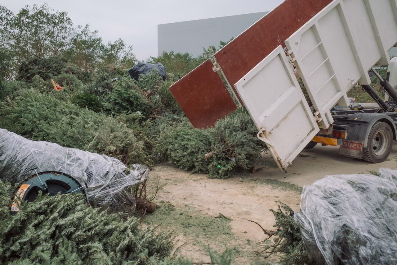 <b>Chandler</b>
<br>- Arrowhead Park - 1475 W. Erie St.
<br>- Chuparosa Park - 2400 S. Dobson Rd.
<br>- Dsert Breeze Park - 660 N. Desert Breeze Blvd.
<br>- Folley Park - 601 E. Frye Rd.
<br>- Nozomi Park - 250 S. Kyrene Rd.
<br>- Pima Park - 625 N. McQueen Rd. 
<br>- Recycling-Solid Waste Collection Center - 955 E. Queen Creek Rd.
<br>- Shawnee Park - 1400 W. Mesquite St.
<br>- Snedigar Sportsplex - Alma School Rd.
<br>- Tumbleweed Park - 745 E. Germann Rd.
<br>- Veterans Oasis Park - 4050 E. Chandler Heights Rd.
<br>Más información: 
<a href="https://www.chandleraz.gov/residents/recycling-and-trash/collection-schedule/tree-recycling#:~:text=Curbside%20Christmas%20Tree%20collection%20will,your%20scheduled%20recycling%20collection%20day" target="_blank">www.chandleraz.gov</a>.