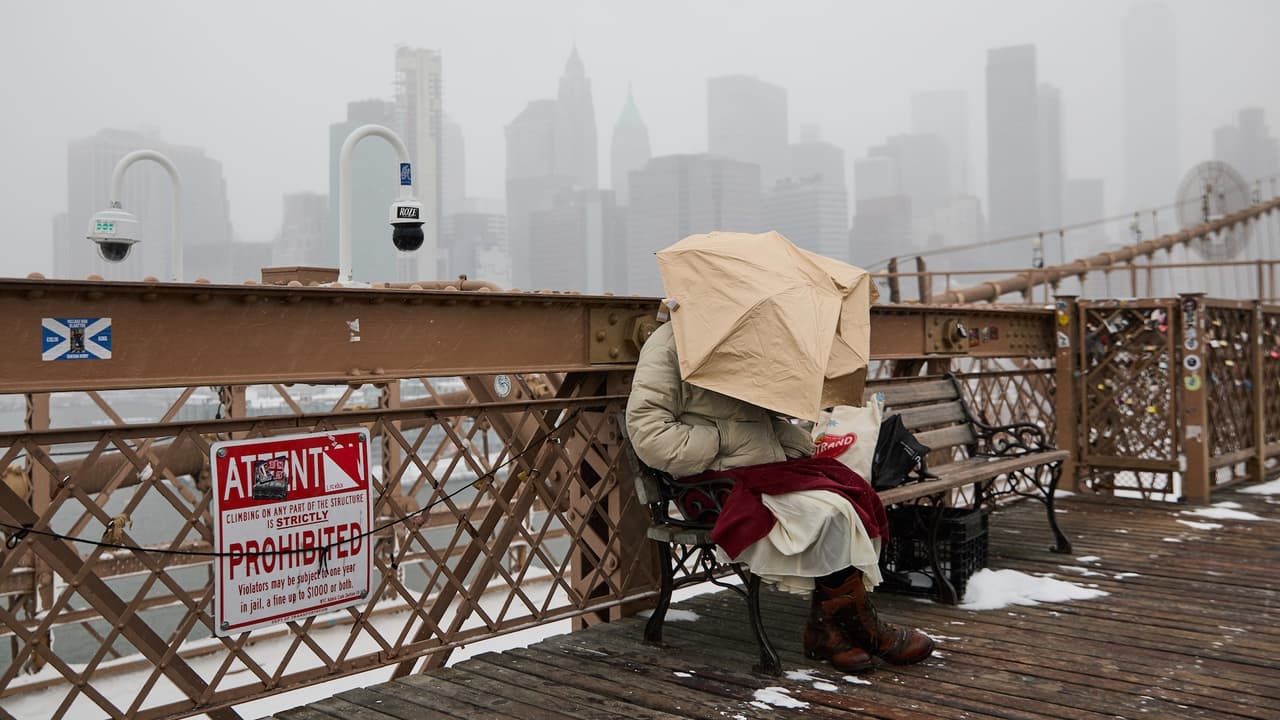 Nueva York reporta 16 muertes vinculadas al frío mientras persisten temperaturas récord