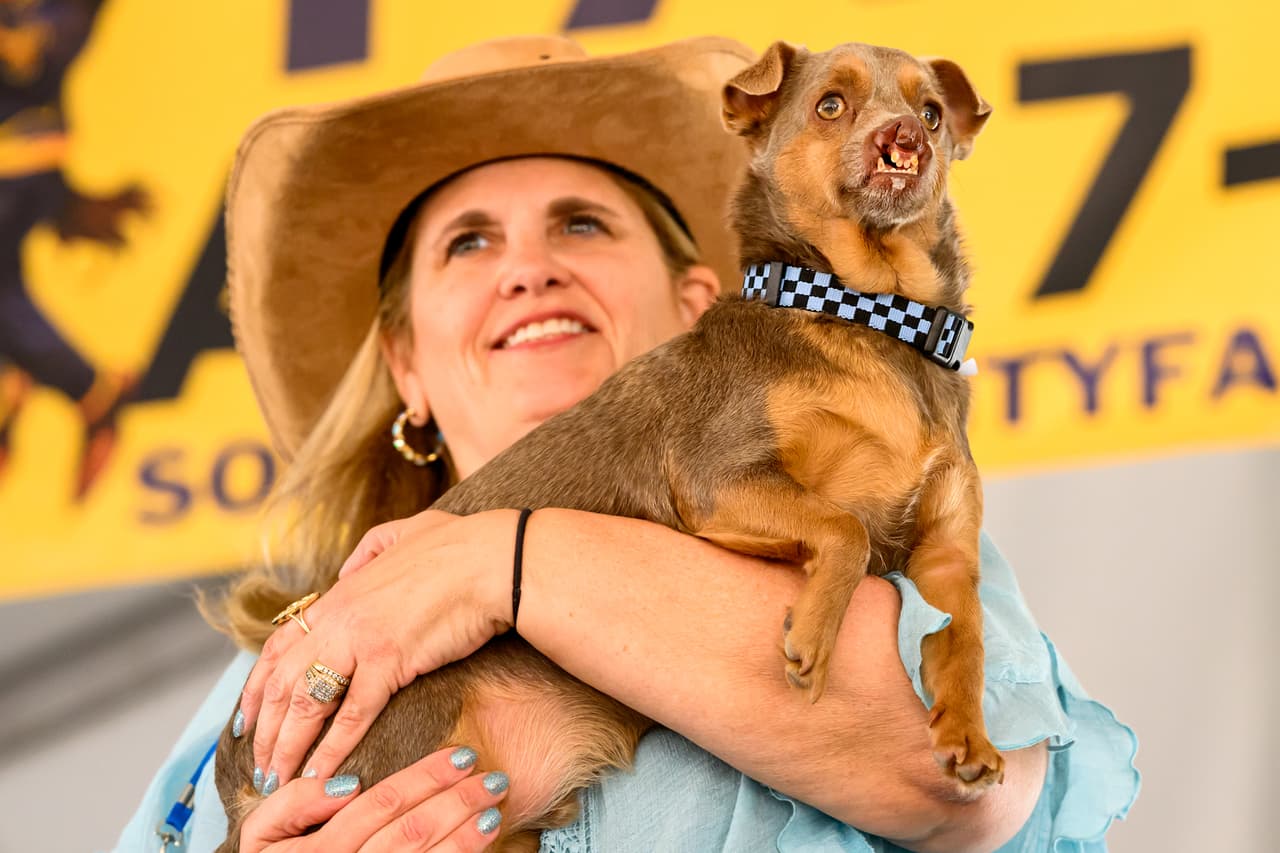 Otto, un perro mestizo de chihuahua sostenido por su dueña Melinda Berry, participa en el concurso del perro más feo del mundo en la Feria del Condado de Sonoma. Otto obtuvo el tercer lugar del certamen.