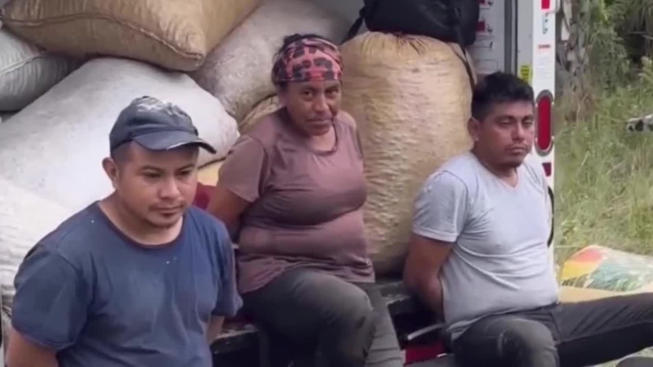 Arrestan a migrantes por recolección ilegal de bayas: las escondían en un U-Haul estacionado en la carretera 