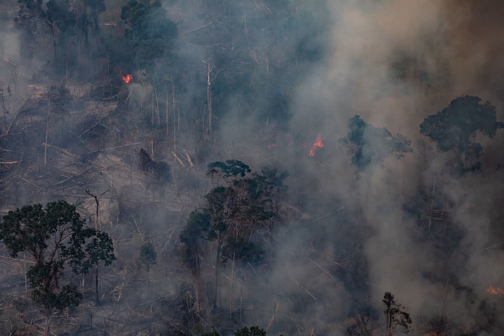 Además del Amazonas, los estados de Acre, Rondonia, Roraima, Mato Grosso, Pará y Tocantins recibirán el apoyo de las tropas de las Fuerzas Armadas.