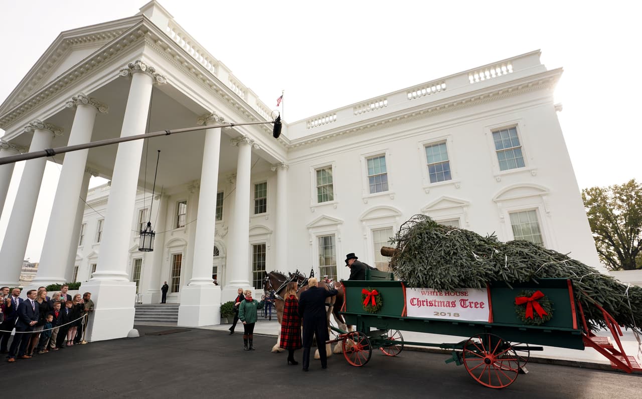 La granja Mountain Top Fraser Fir fue la ganadora del concurso de la Asociación de Árboles de Navidad el verano pasado. 
<b>Fue su quinto intento por ganar </b>el honor de que uno de sus árboles estuviera en la Casa Blanca.