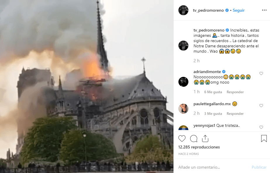 "Tanta historia, tantos siglos de recuerdos, la catedral de Notre Dame desapareciendo ante el mundo", lamentó el actor cubano Pedro Moreno en su Instagram.