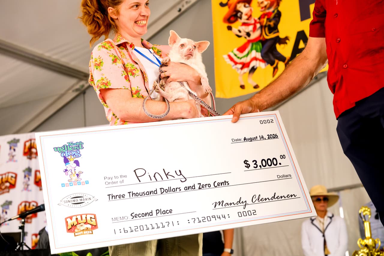 Pinky, una perra mestiza de Pomerania y Chihuahua albina, celebra haber obtenido el segundo lugar en el concurso con un premio de $3,000 dólares.