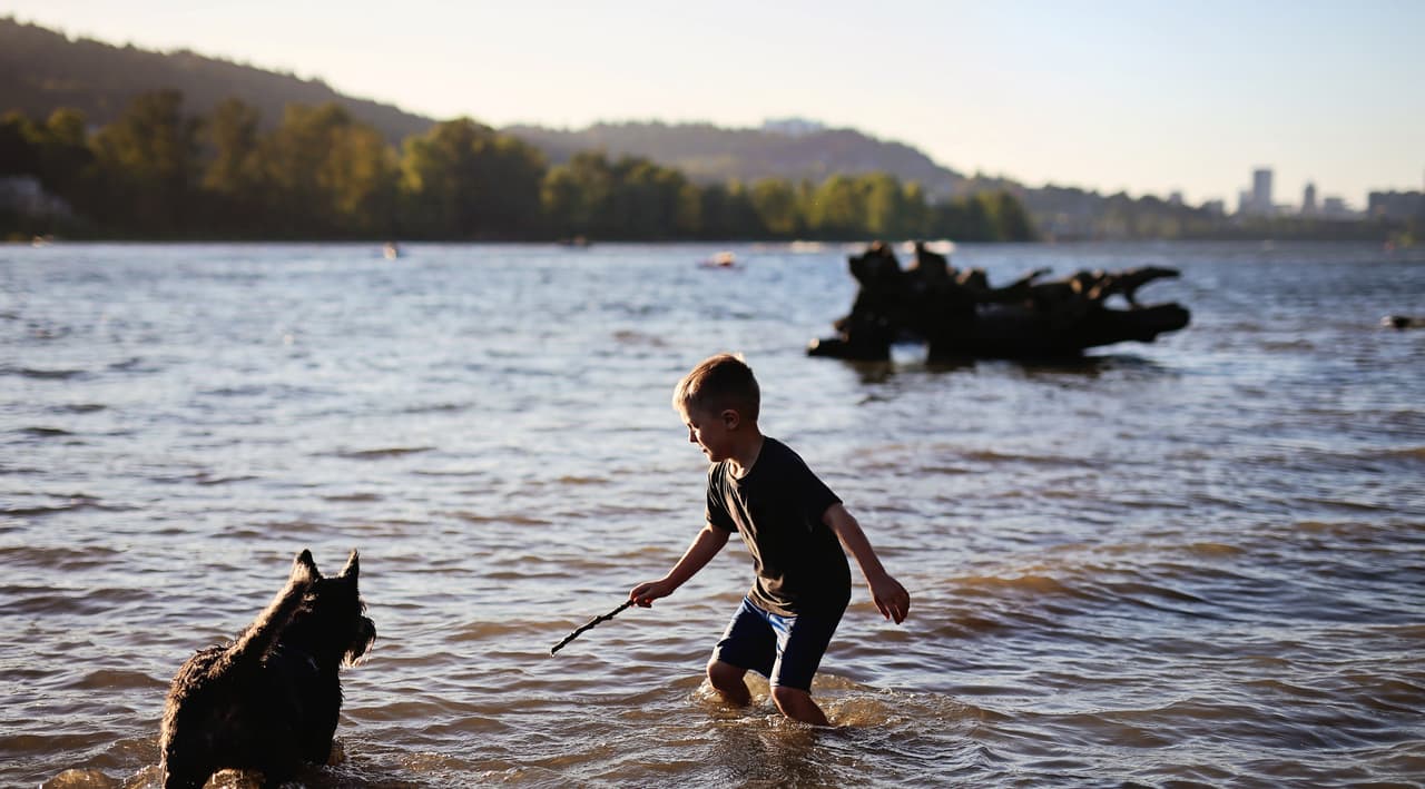 An elementary age boy plays with a dog in a river. He is holding a stick and the dog waits for it. There is lots of light and the city of Portland, Oregon can be seen in the background.