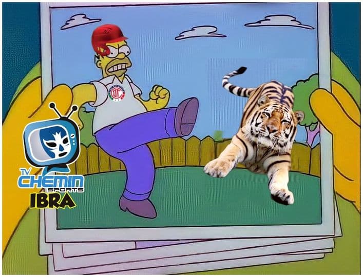 Gracias a la doble jornada, les memes tienen la oportunidad de salir y regresan más divertidos que nunca.