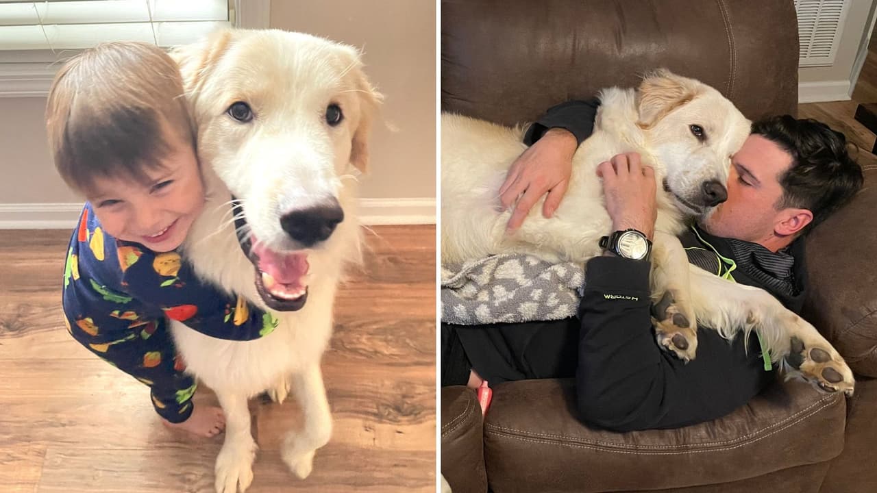 Así luce Ronald junto a su nueva familia