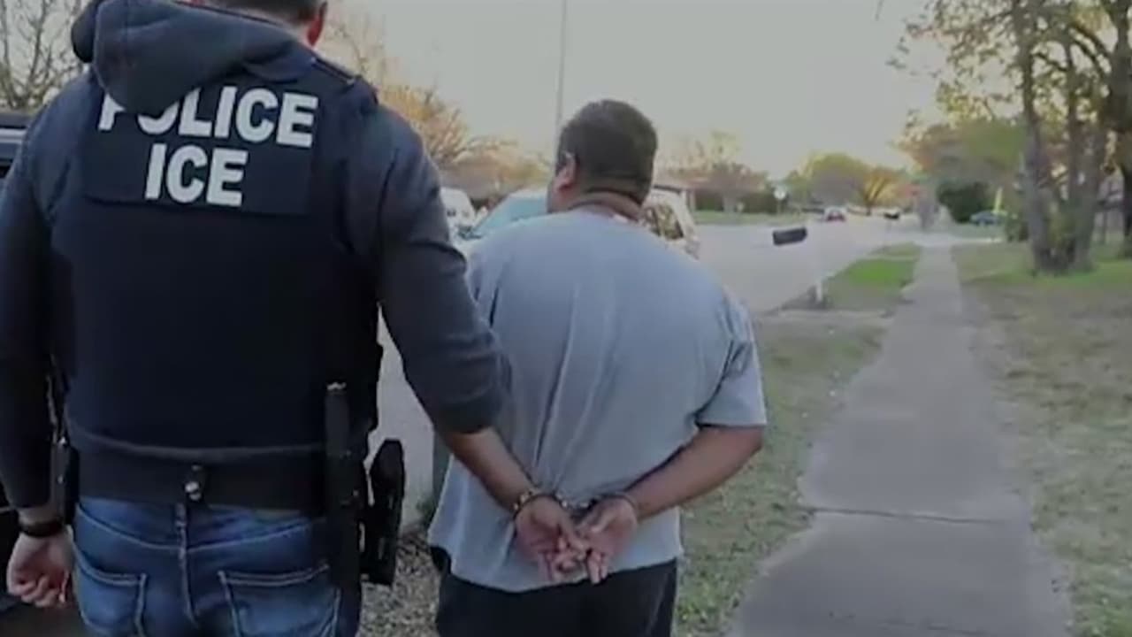 ¿Cómo actuar ante una parada de tránsito de ICE? Estos son tus derechos y los límites de los agentes