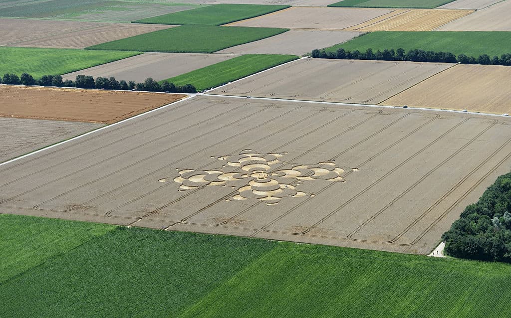 Pero no sólo despiertan teorías alienígenas, sino también qué se esconde detrás de los diseños. ¿Son fórmulas matemáticas escondidas? ¿Alguna clave para la salvación - o destrucción de la humanidad? Pero en sí, han despertado el morbo de millones y son motivo turístico en varias locaciones.