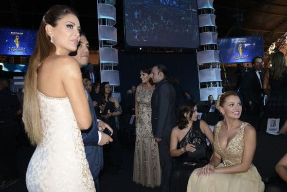 Te llevamos destrás de cámaras de Premios TVyNovelas 2014. Estos fueron los momentos que no pudiste ver y que aquí te los mostramos en exclusiva.