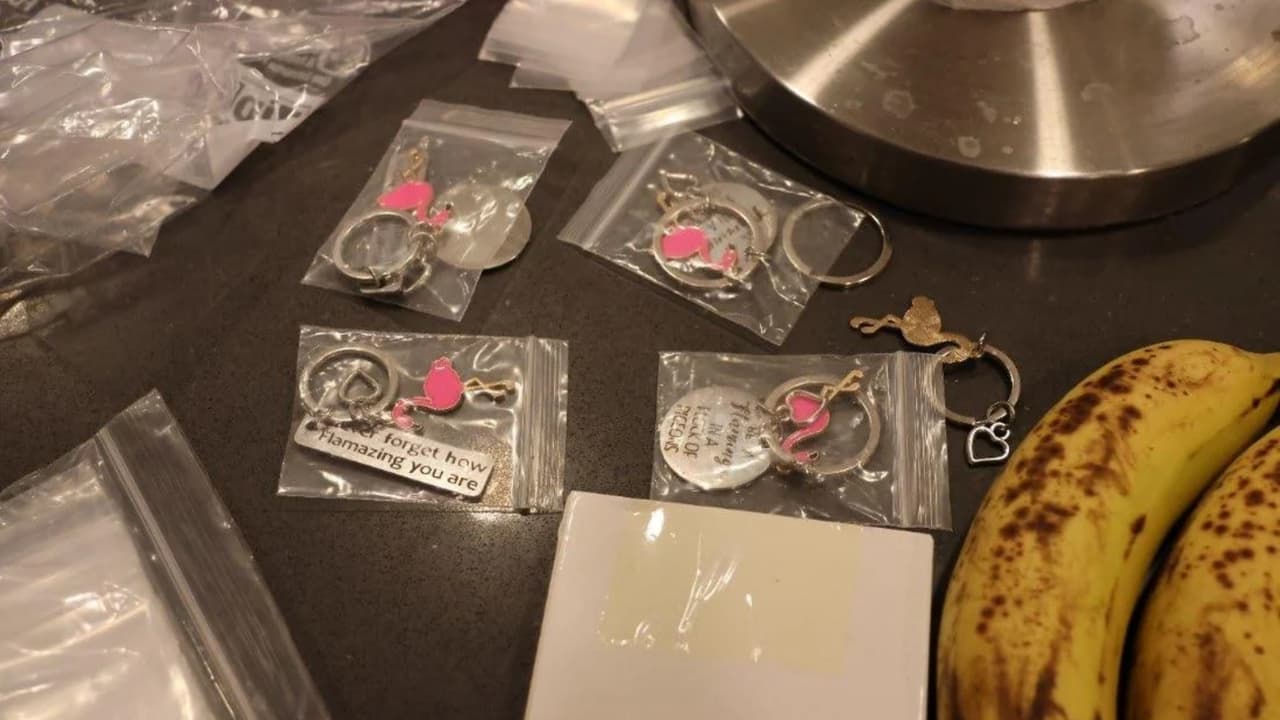 Estos llaveros fueron encontrados en la vivienda del profesor. Los flamencos también aparecían en los empaques de la droga.