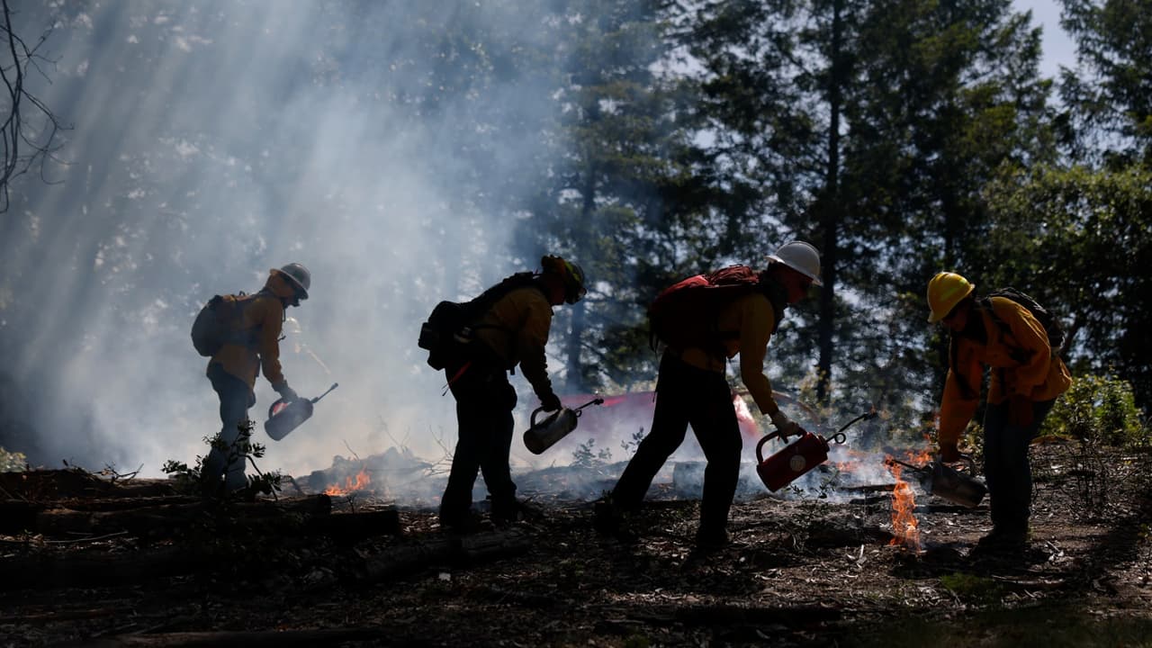 El alto precio del cambio climático en el sur de California: millones de dólares y menos aseguradoras