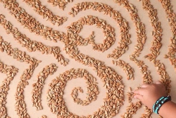 S is for Sunflower Seeds