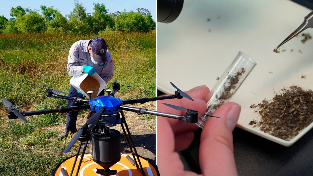 Drones asesinos de mosquitos: la tecnología revolucionaria que combate enfermedades transmitidas por insectos