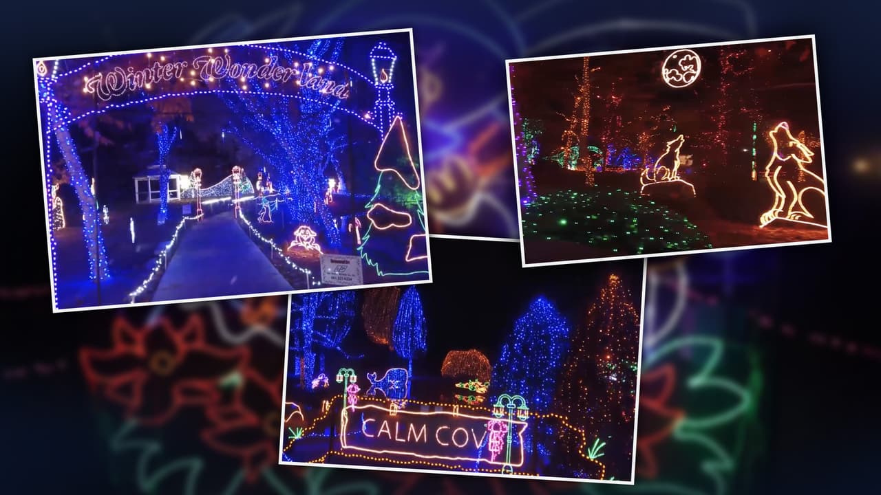 Así luce el espectáculo navideño de CALM, el 'Museo Viviente' de California 