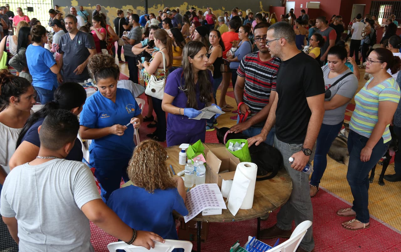 Se estableció el primer Centro de Vigilancia de Leptospirosis Canina en la comunidad de Guajataca, en Quebradillas, al noroeste de la isla