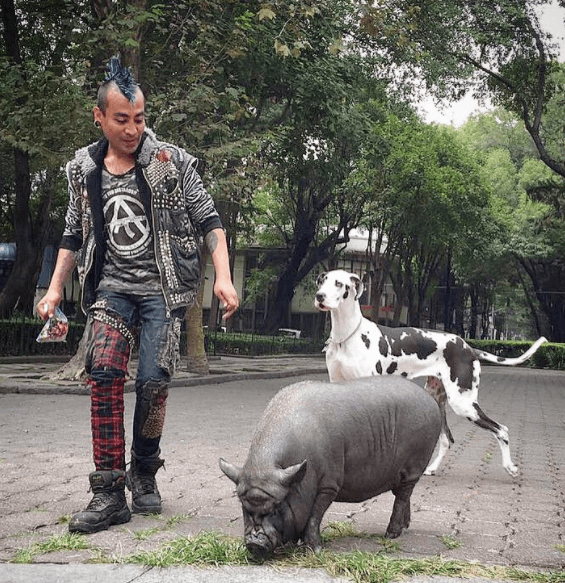 En las redes sociales de La Chata se pueden ver divertidas imágenes de ella al lado de otros singulares personajes a fin de promover la inclusión.