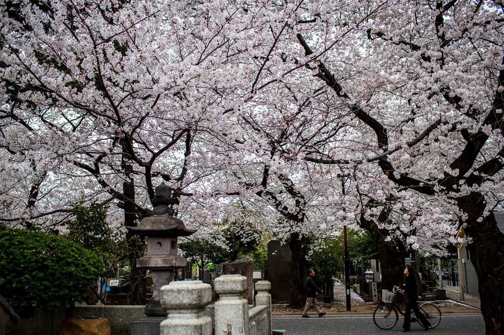8- Yanaka, Tokio. Japón.