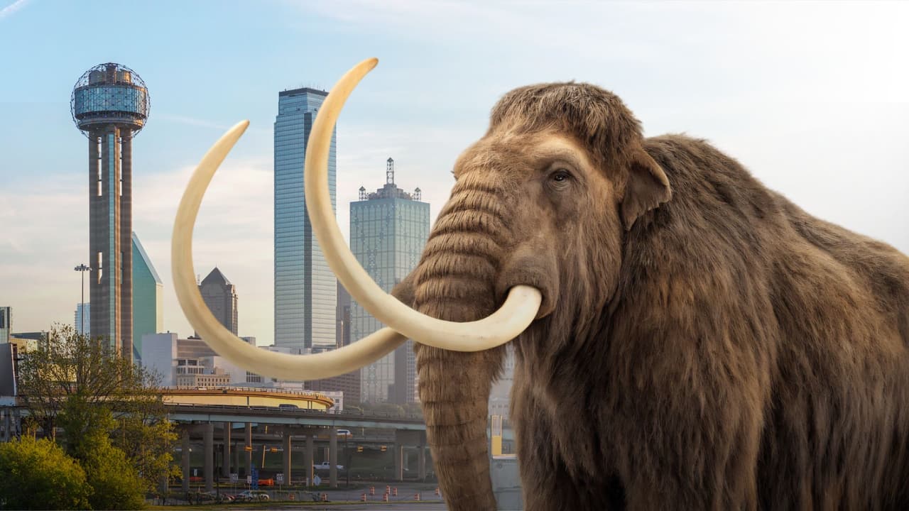 ¿Ciencia ficción o realidad? El proyecto que nace en Dallas y busca traer mamuts al presente