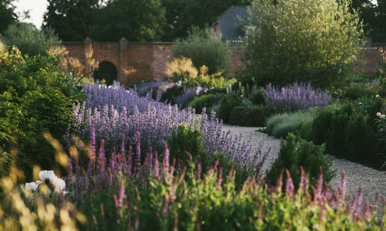 Frogmore Cottage, que fue construida originalmente como un refugio en 1801 por el arquitecto Hugh May de Charles II, debe su nombre a la preponderancia de las ranas, que siempre han vivido en esta zona.