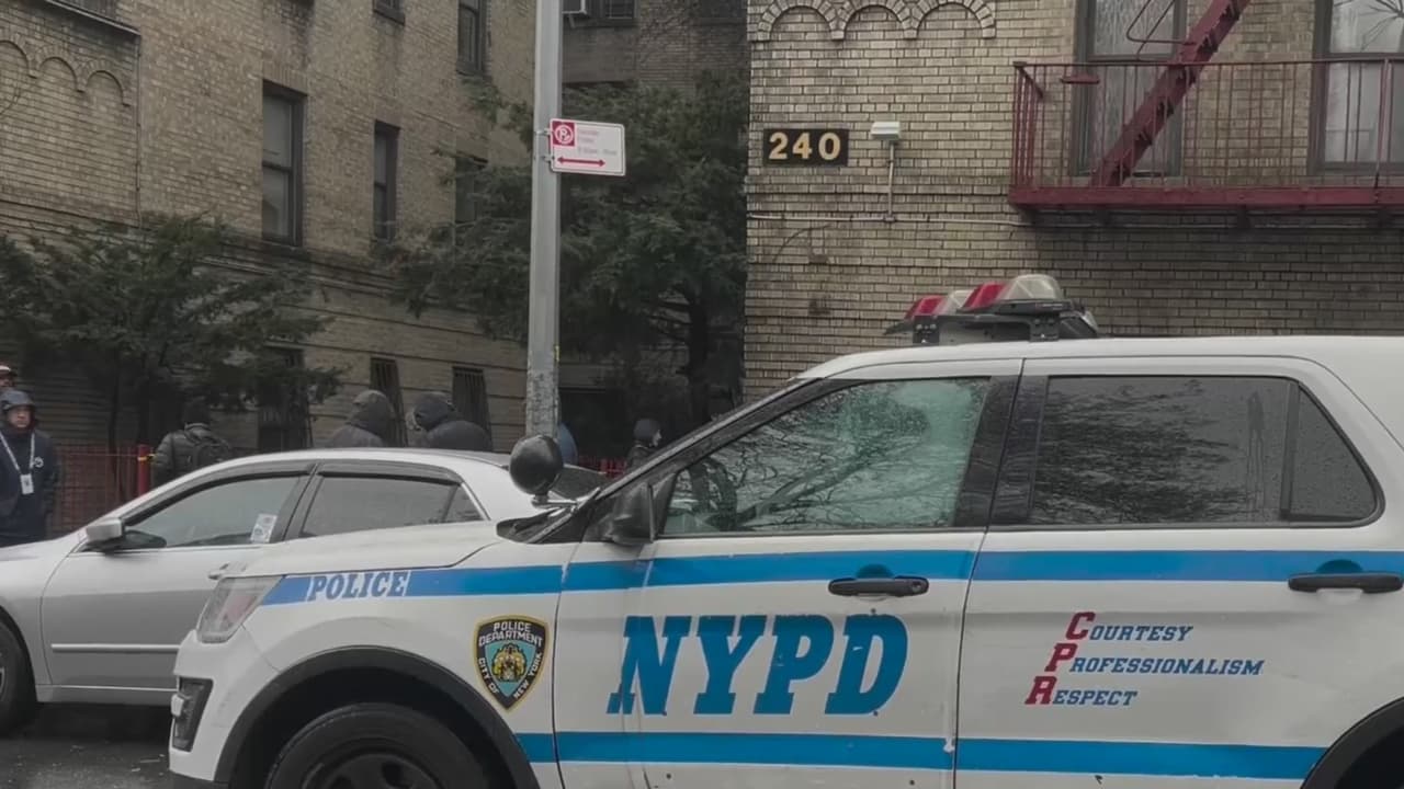 Gemelos hallados muertos en apartamento de El Bronx no tenían signos de maltrato