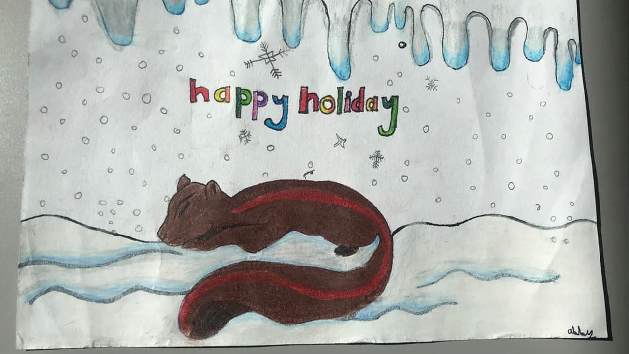 Abigail Barr, cuarto grado, Red Elementary School
<i>.</i>