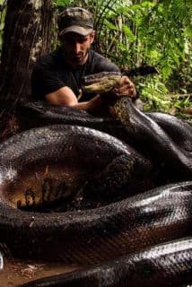 Paul Rosolie se trazó el reto de ser devorado por una anaconda, pero despertó la ira de miles al no lograr su objetivo. Fotos de Twitter