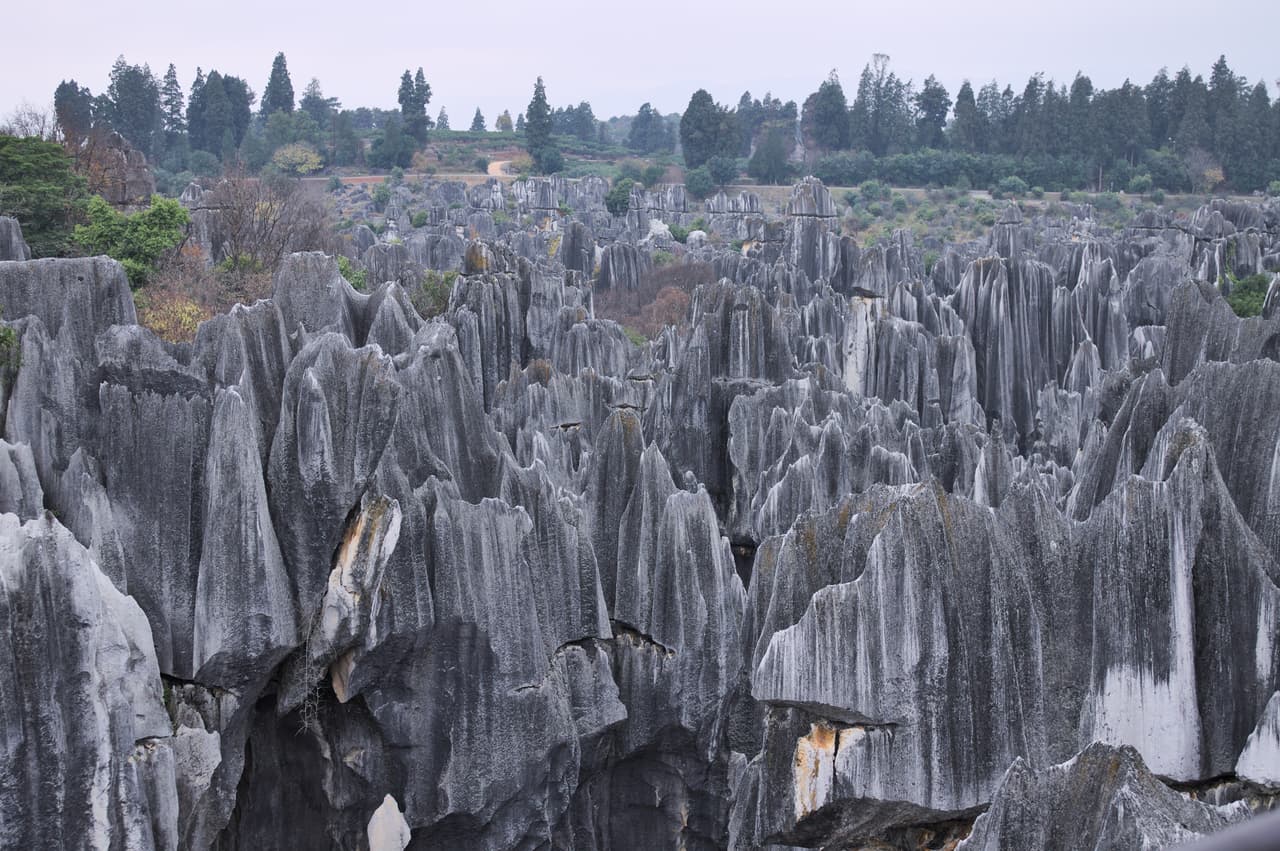 El ‘bosque de piedras’ de Yunnan, China. Está formado por rocas calizas que dan la impresión de árboles petrificados y es un sitio declarado Patrimonio de la Humanidad por la UNESCO.