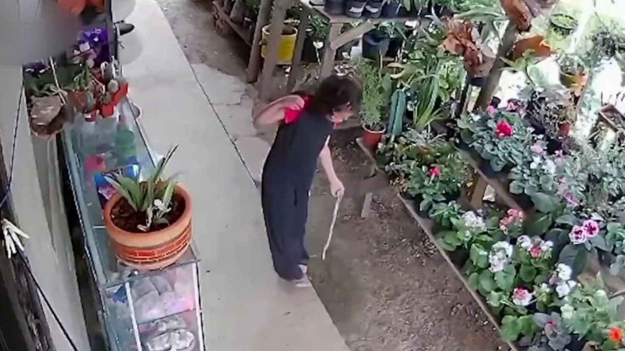 Hallan sin vida a Michelle Dayana Chavarría, niña de 6 años con autismo y epilepsia