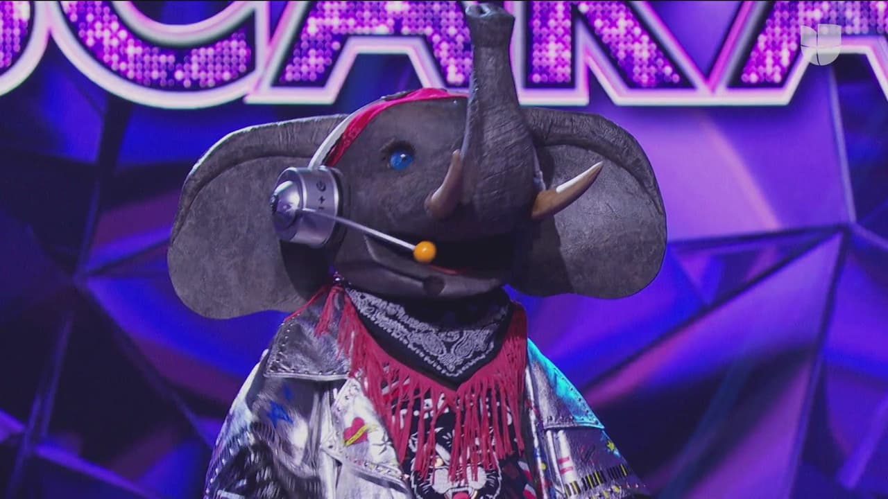 El último en cantar en este show fue Elefante.