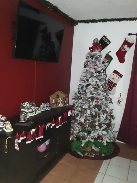 La Familia Neri, de San José, tiene su pesebre también justo al lado de su arbolito con varias decoraciones navideñas como los típicos gorritos rojos y calcetines con caritas.