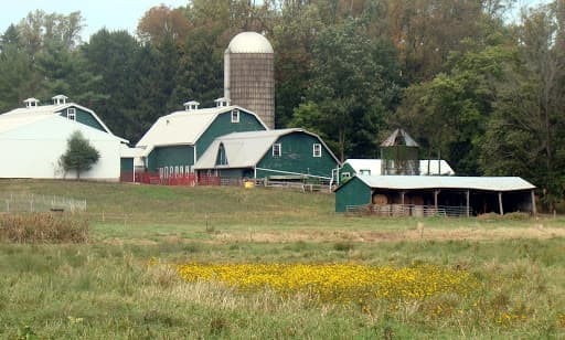 Si bien Nueva Jersey no es tan dominante en los productos lácteos como su vecino del oeste, Garden State todavía tiene muchas granjas lecheras que producen de todo: desde leche hasta helados y queso artesanal. Cherry Grove, ubicado junto a la ruta 206 al sur de Princeton, es uno de los pocos fabricantes de quesos de especialidad en el estado. 📍
<a href="https://www.google.com/maps/place/3200+Lawrenceville+Rd,+Lawrence+Township,+NJ+08648/@40.3083405,-74.7154392,17z/data=!3m1!4b1!4m5!3m4!1s0x89c3e3b70830ff9b:0x1b6f7dec095f1972!8m2!3d40.3083405!4d-74.7132452" target="_blank">3200 Lawrenceville Rd., Lawrence Township, NJ</a>
<br>