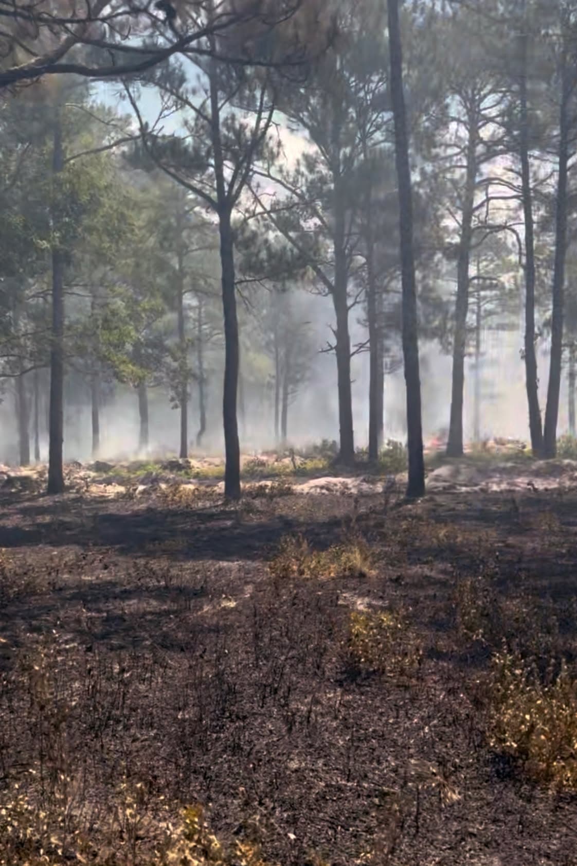 Por ahora, todas las autopistas permanecen abiertas y las autoridades continúan investigando la causa del incendio.