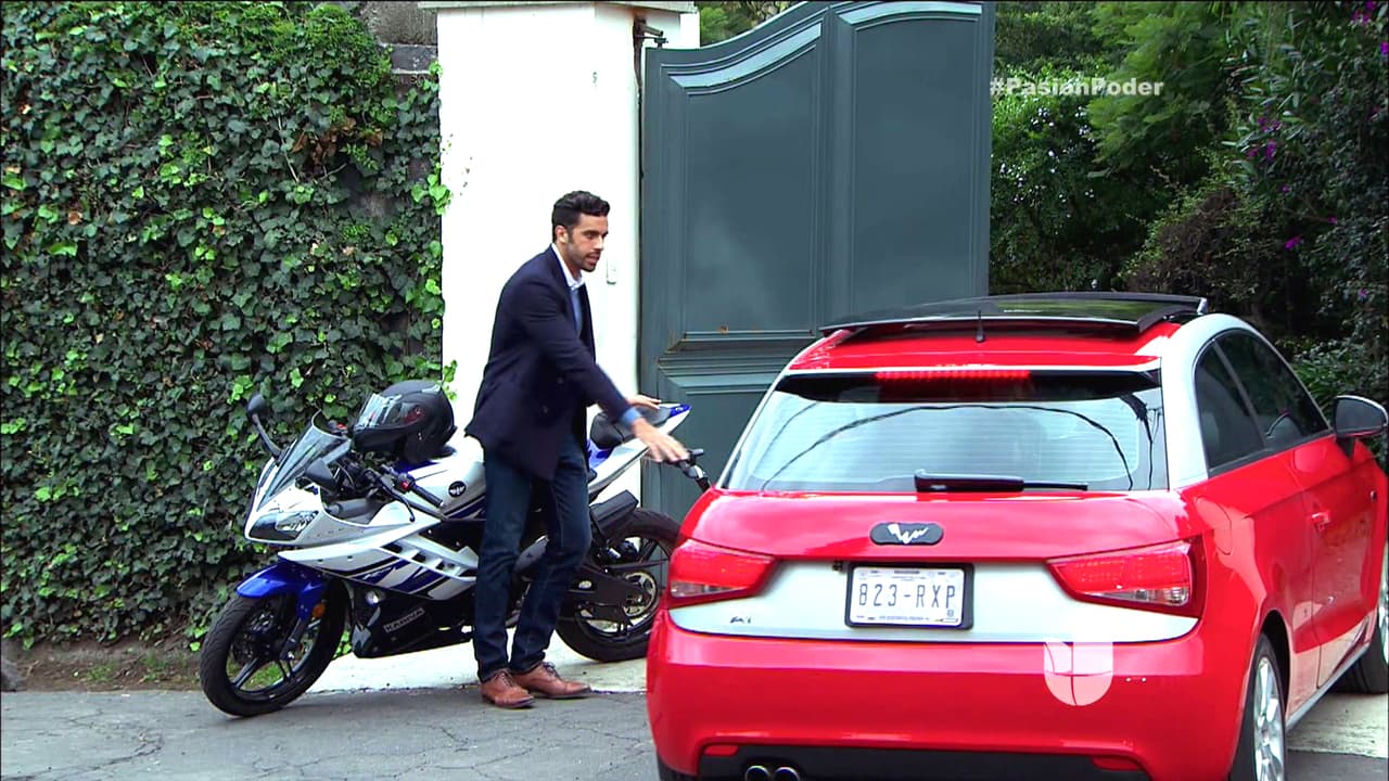 David no se va a dar por vencido Regina.