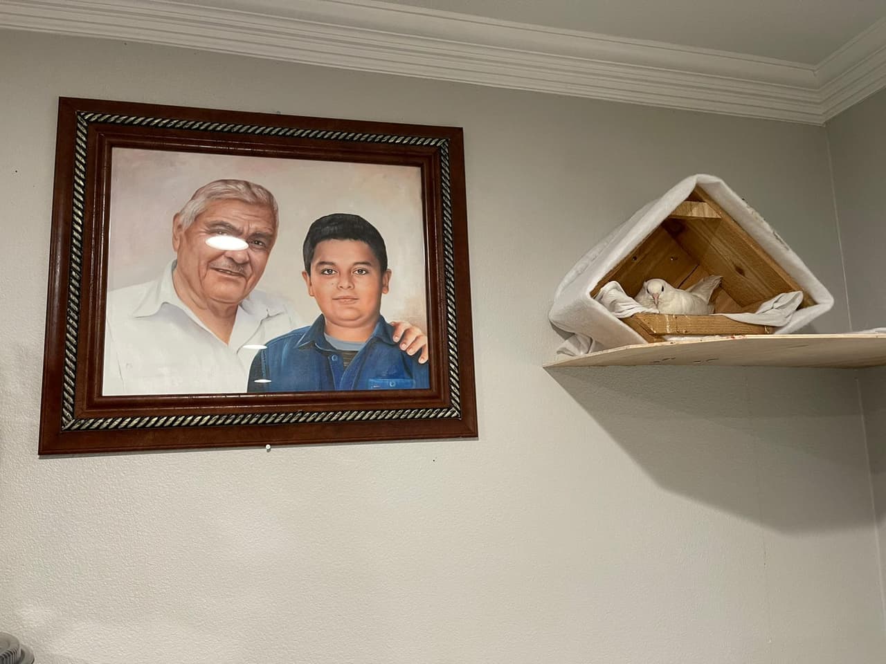 A un año de la muerte de Víctor, la paloma que llegó a casa de los García mientras rezaban el novenario por la muerte del pequeño, aún sigue ahí.
<br>