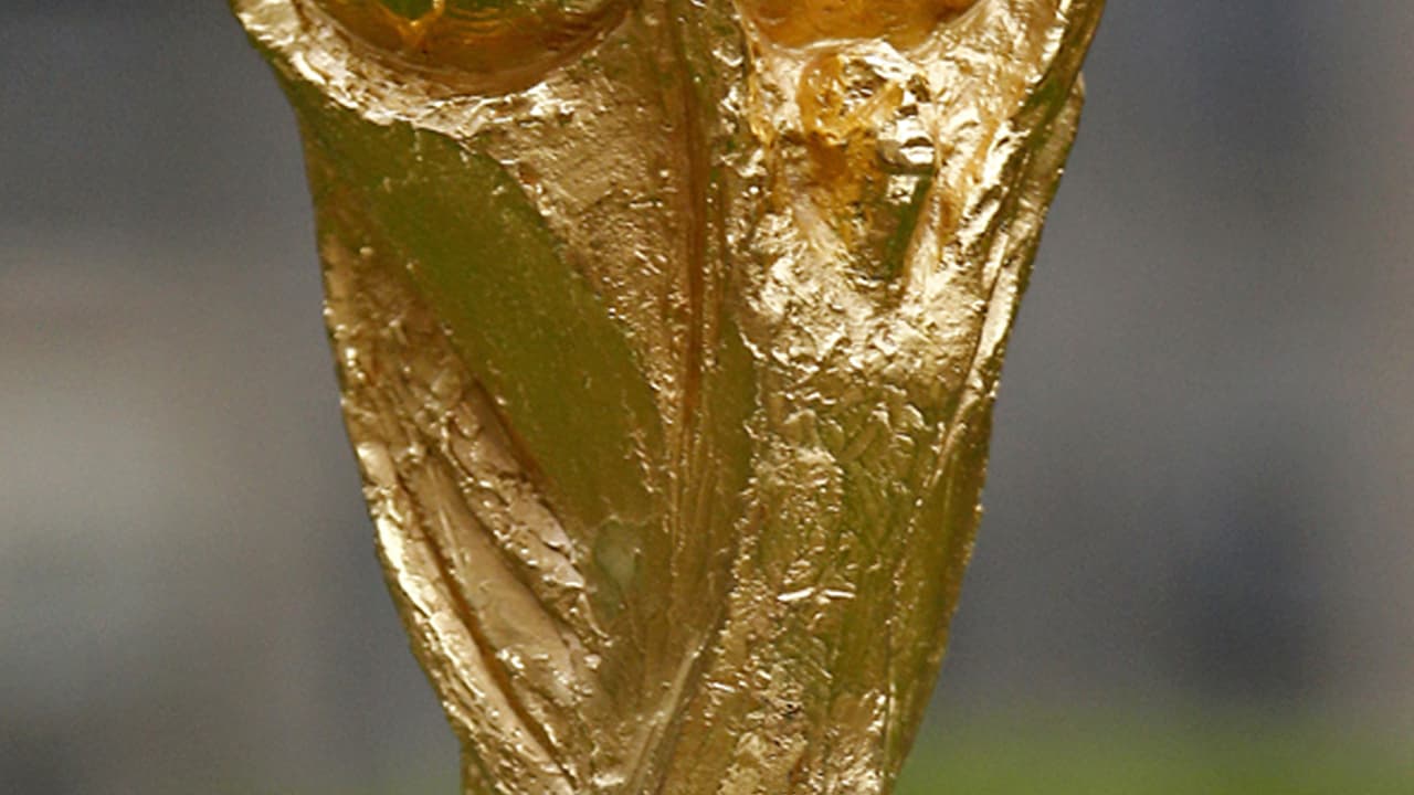 En el 2006 se realizó la primera gira mundial del trofeo a través del mundo, en esa ocasión la copa visitó 
<b>31 ciudades en 28 países durante 90 días</b>, antes del torneo del 2010 la copa salió de viajes de nuevo y paseó por 
<b>83 países.</b>