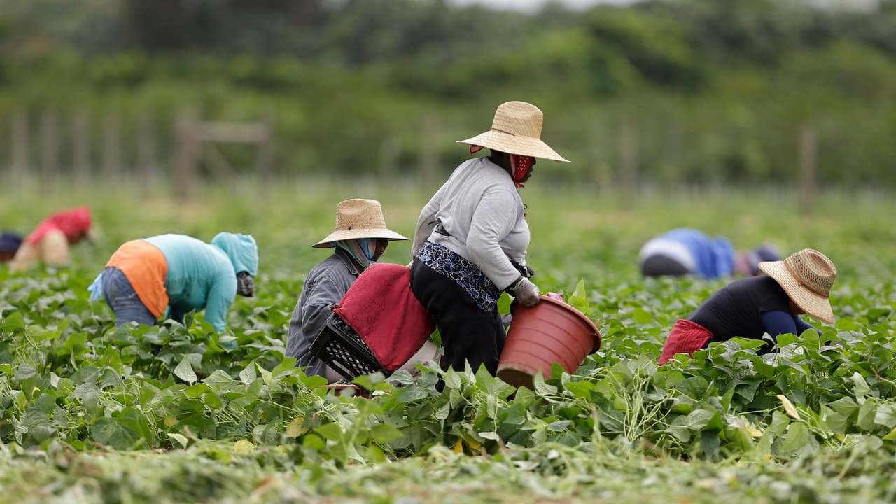 “La gente se echó a correr esperando la migra”: Una inesperada visita que busca reducir el miedo en los campos agrícolas
