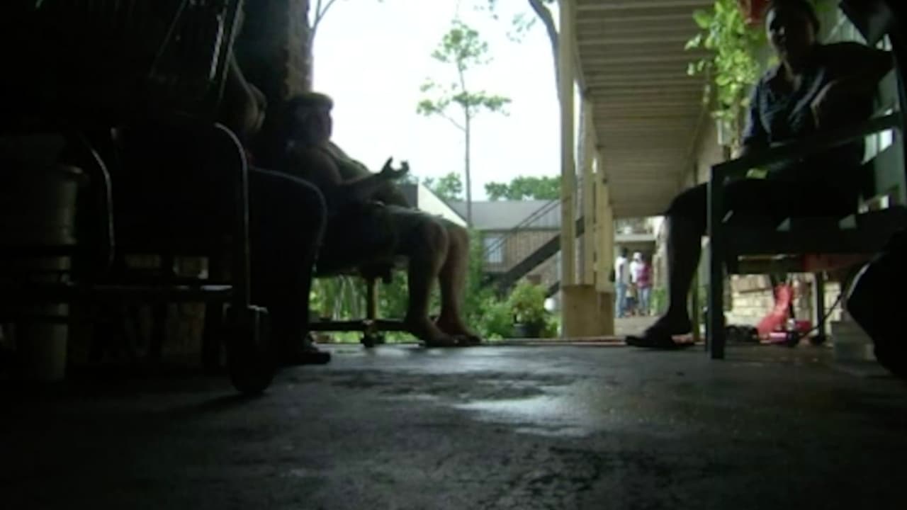 Tanto organizaciones como lideres locales exhortan a la población a votar para tener una representación ante el gobierno como en la corte número 4, aprovechando el periodo de elecciones anticipadas, previo a las generales del 1 de marzo. 
<a href="https://www.univision.com/local/houston-kxln/condado-harris-ofrecera-ayuda-para-inquilinos-en-caso-de-desalojos" target="_blank">Si buscas ayuda por desalojo, da click aquí. </a>