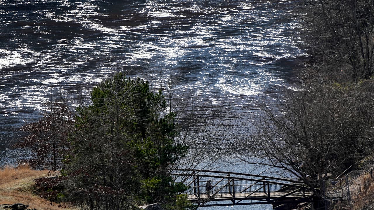 ¿Qué provocó la mortandad de peces en el río Chattahoochee? Esto se sabe