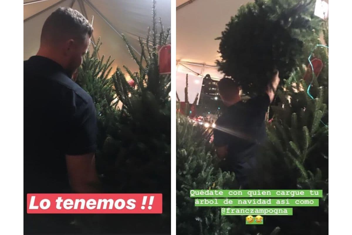 Francisca no solo está encantada con el arreglo de la casa de Despierta América, sino también está feliz por hacer la
<a href="https://www.univision.com/shows/despierta-america/mientras-buscaba-su-arbolito-de-navidad-francisca-encontro-una-razon-mas-para-casarse-con-francesco-fotos" target="_blank">decoración navideña en su hogar</a> junto a Francesco.