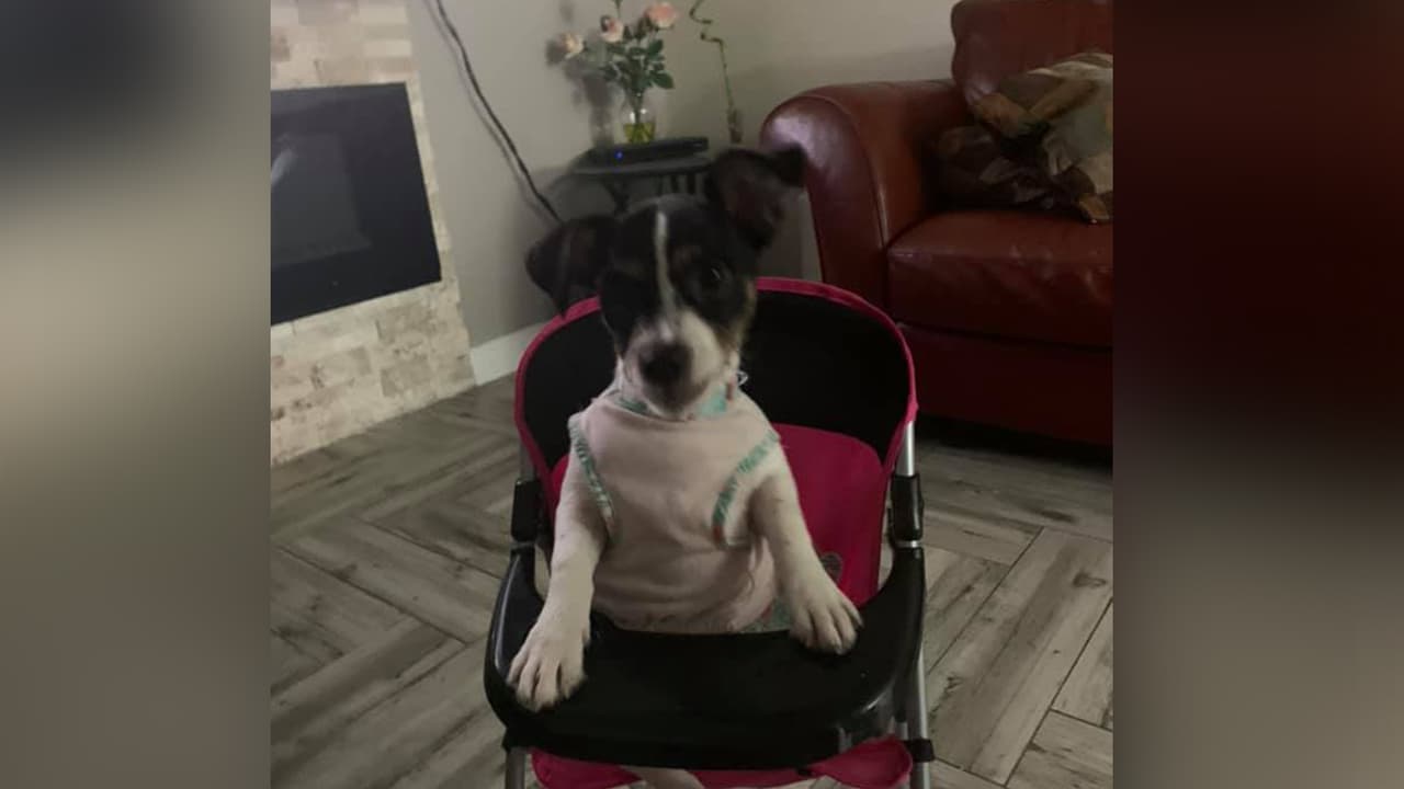 Erika Nuńez - "Mi chiquita ❤️"