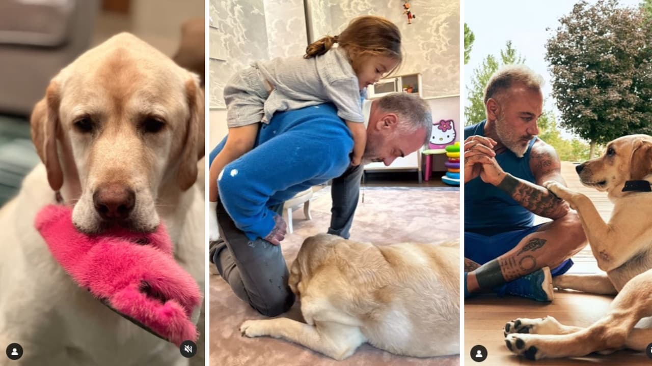 Gianluca Vacchi presumió sus momentos con Gordo.