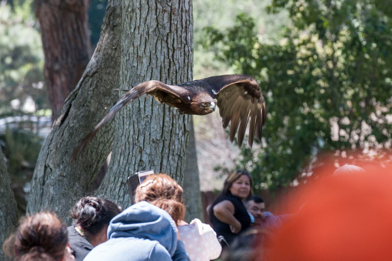 Un bello dia fue perfecto para las familias desde Bakersfield a Modesto.